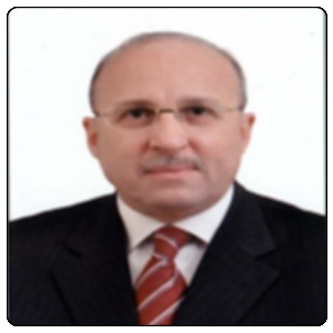 H.E. Prof. Adel Adawi