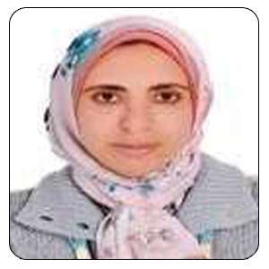 Dr. Mona Gamal Mohamed