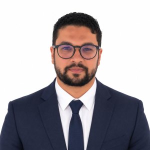 Mr. Hisham Ashraf Mohamed Mahmoud Elbhrawy