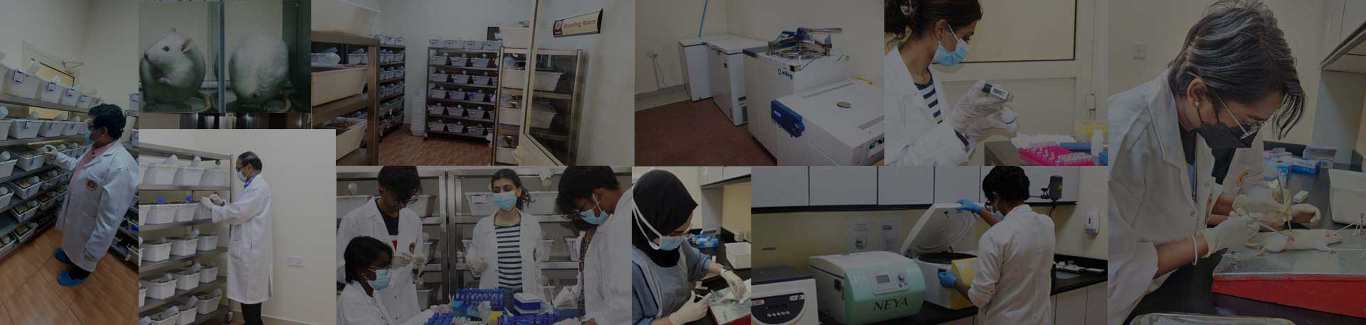 The Central Animal Research Facility (CARF) at RAKMHSU