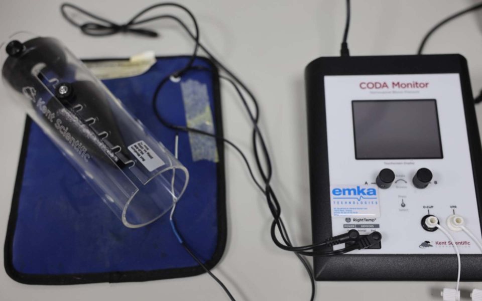 A blood pressure monitor beside a rodent restraint tube on a warming pad in a laboratory of the Central Animal Research Facility