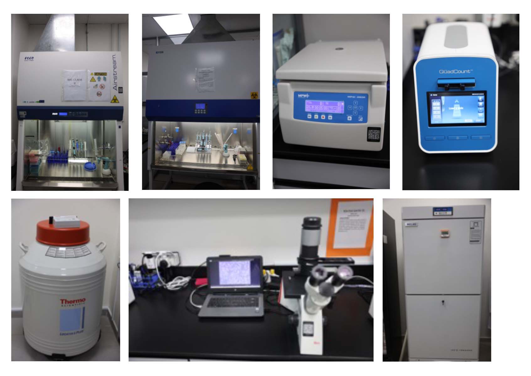 Research at RAKMHSU — photo 10