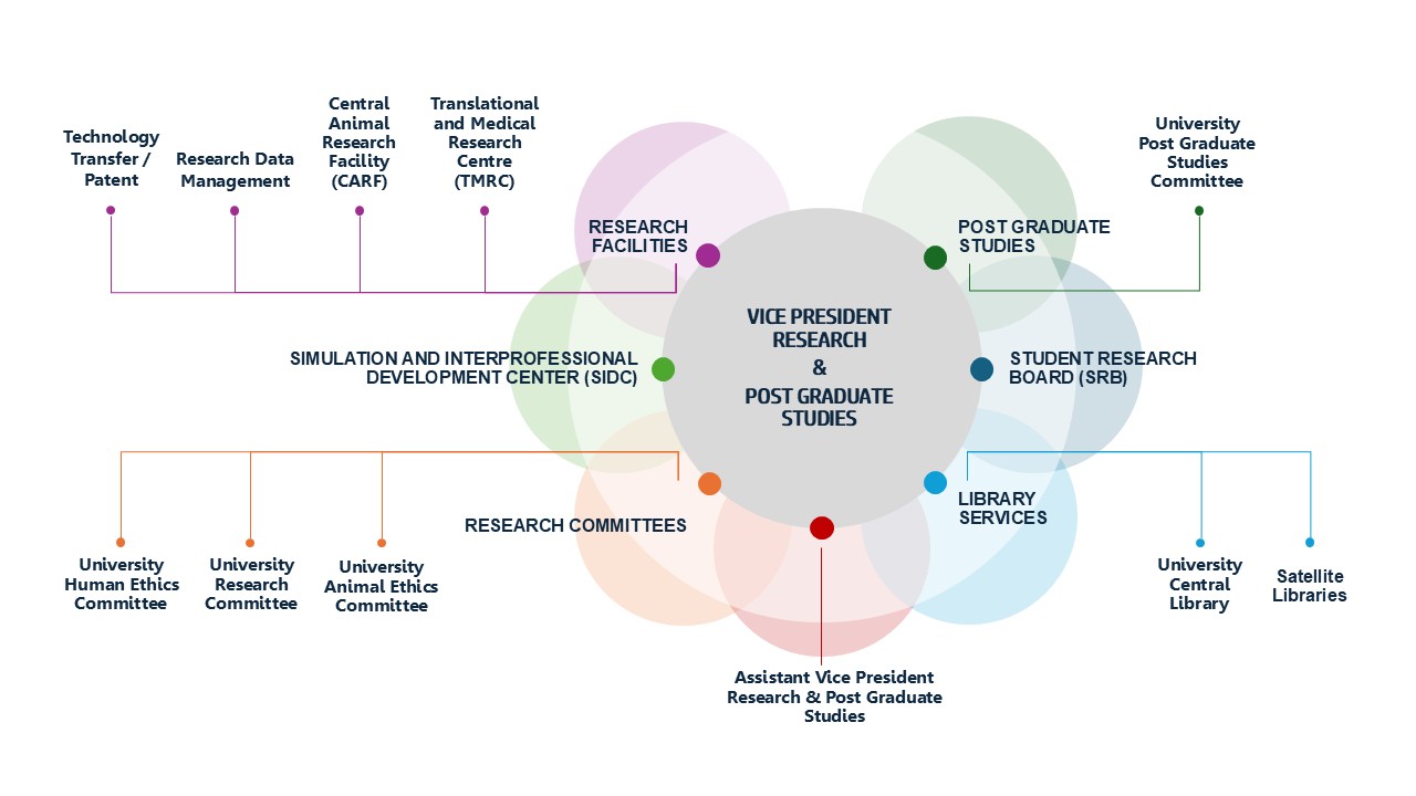 RAKMHSU Research Organizational Structure