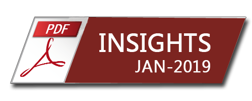 Insights — Bi-Annual, January 2019