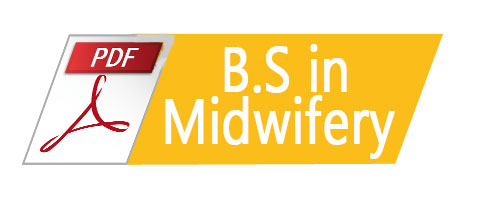 RAKCON midwifery Flyer