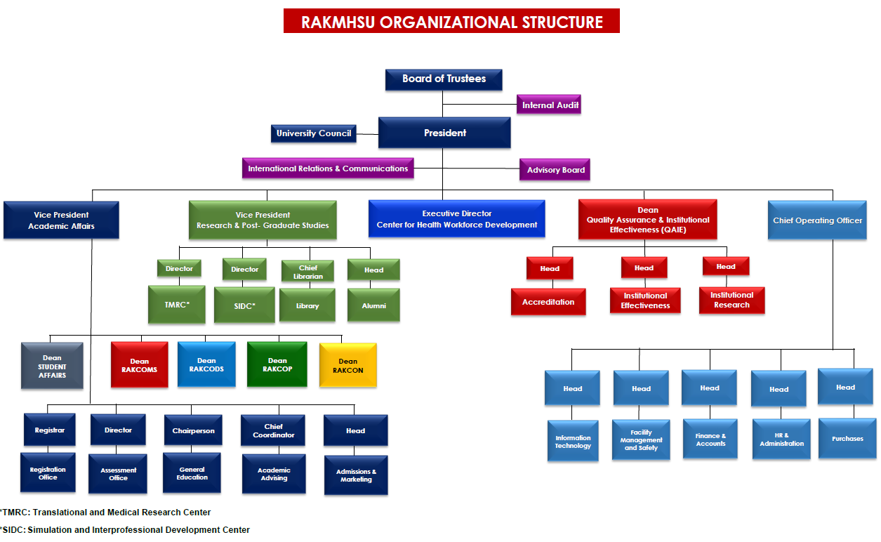 RAKMHSU Organizational Structure