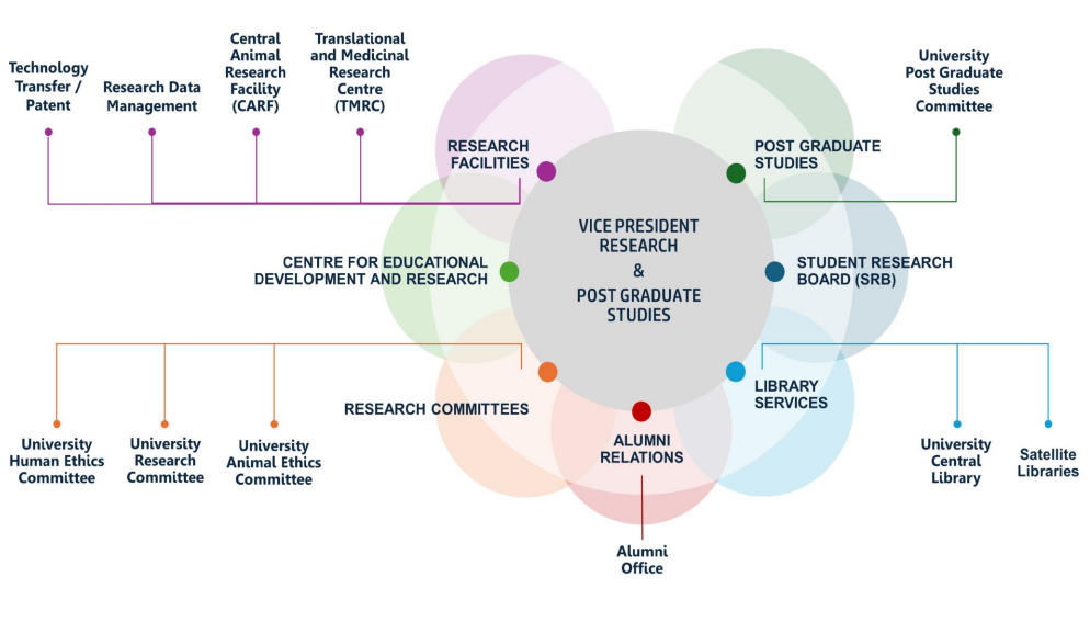 RAKMHSU Organizational Structure
