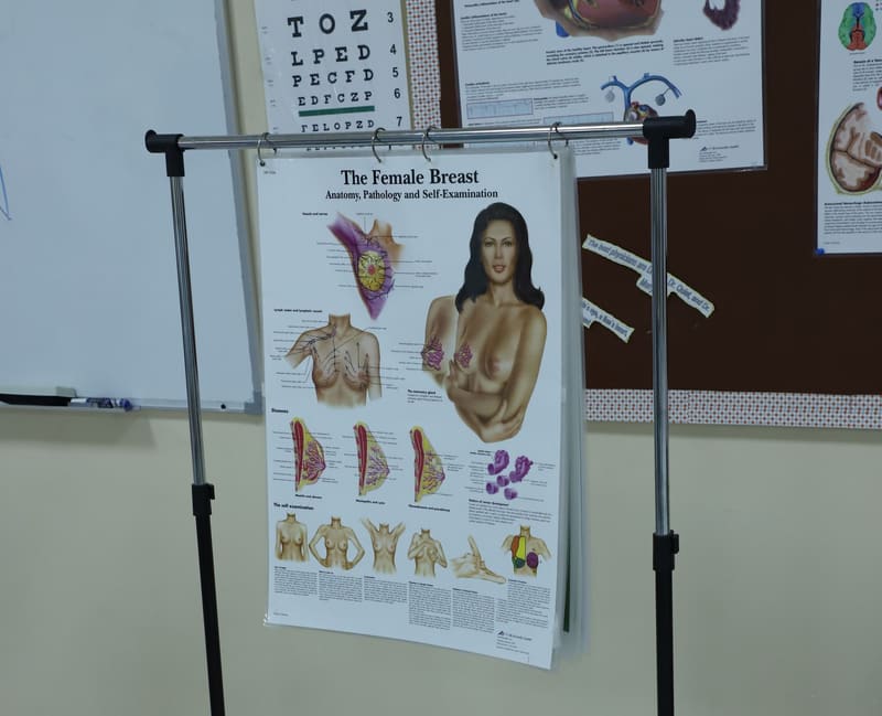 Breast Cancer Awareness Month Pink Oct. 2019 at RAK Medical & Health Sciences University, 2019-20 — photograph 14 of 31