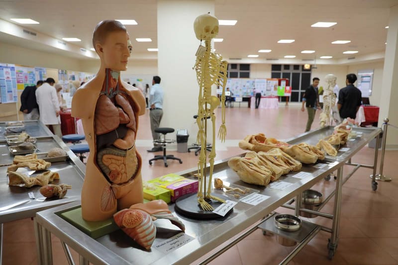 Science Exhibition 2020 - Day 1 at RAK Medical & Health Sciences University, 2019-20 — photograph 40 of 40