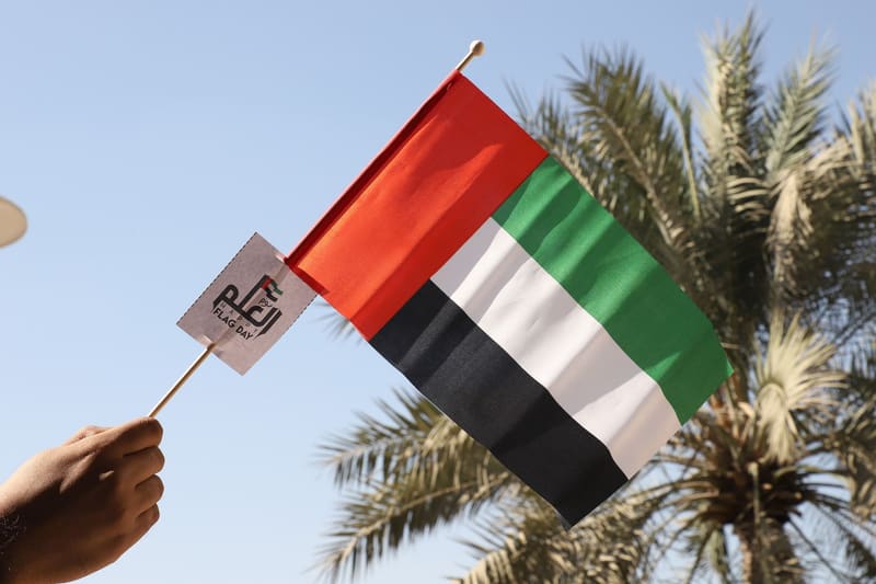 UAE Flag Day 2019 at RAK Medical & Health Sciences University, 2019-20 — photograph 13 of 14