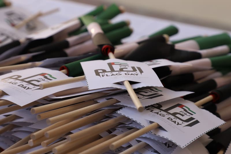 UAE Flag Day 2019 at RAK Medical & Health Sciences University, 2019-20 — photograph 14 of 14