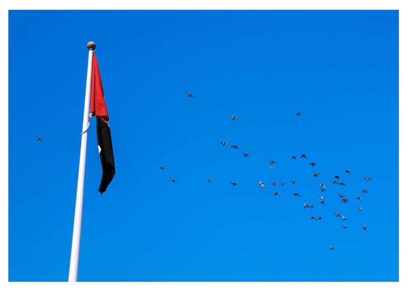 UAE Flag Day Celebration 2020-21 at RAK Medical & Health Sciences University, 2020-21 — photograph 2 of 14