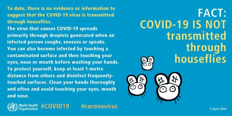 Facts and Myth Busters on COVID-19 by World Health Organization — photograph 3 of 15